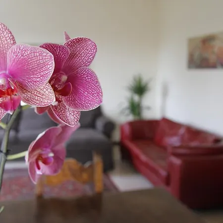 Casa Farinati Apartment *